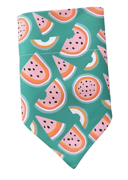 Watermelon Dog Bandana