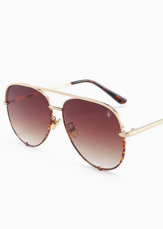 Hollywood Sunglasses in Brown