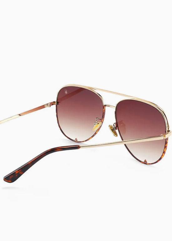 Hollywood Sunglasses in Brown